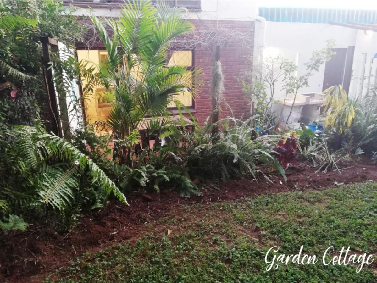 Beach Wood Cottages Shelly Beach Ngoại thất bức ảnh
