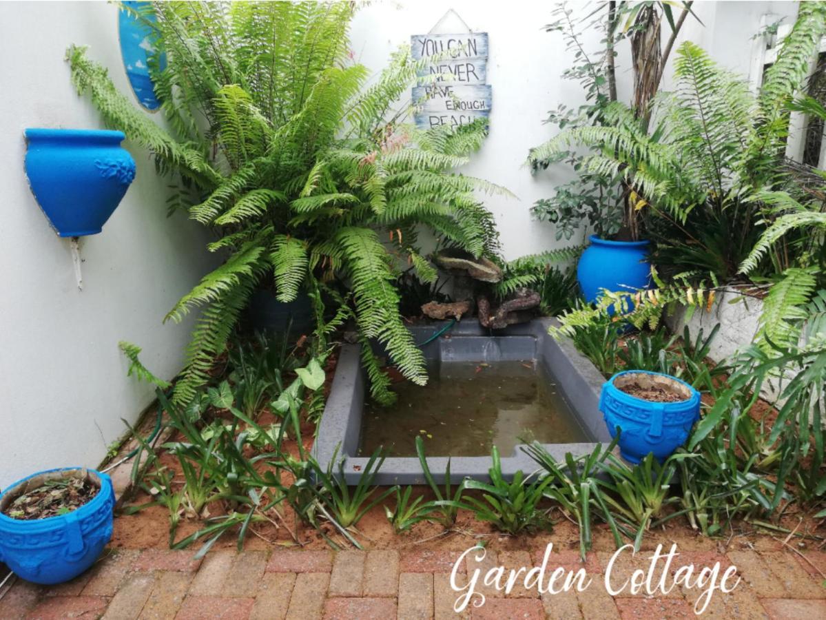 Beach Wood Cottages Shelly Beach Ngoại thất bức ảnh