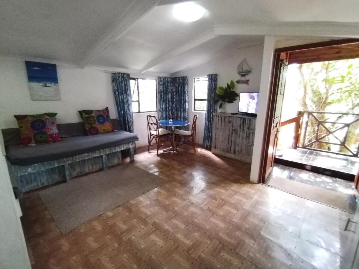 Beach Wood Cottages Shelly Beach Ngoại thất bức ảnh
