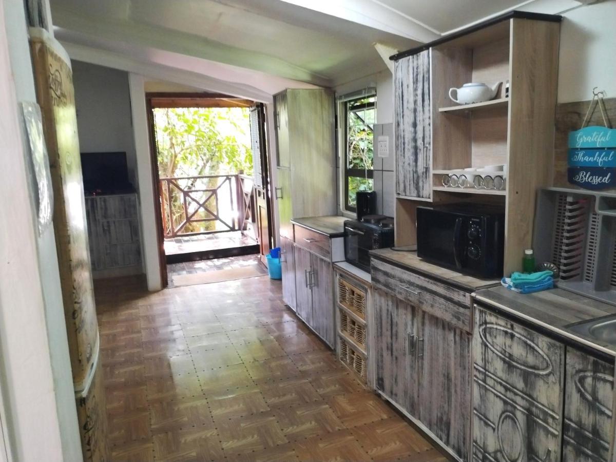 Beach Wood Cottages Shelly Beach Ngoại thất bức ảnh