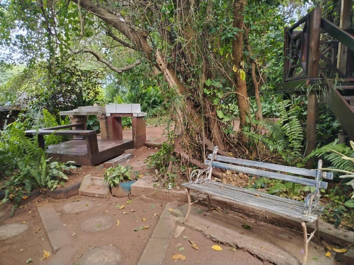Beach Wood Cottages Shelly Beach Ngoại thất bức ảnh
