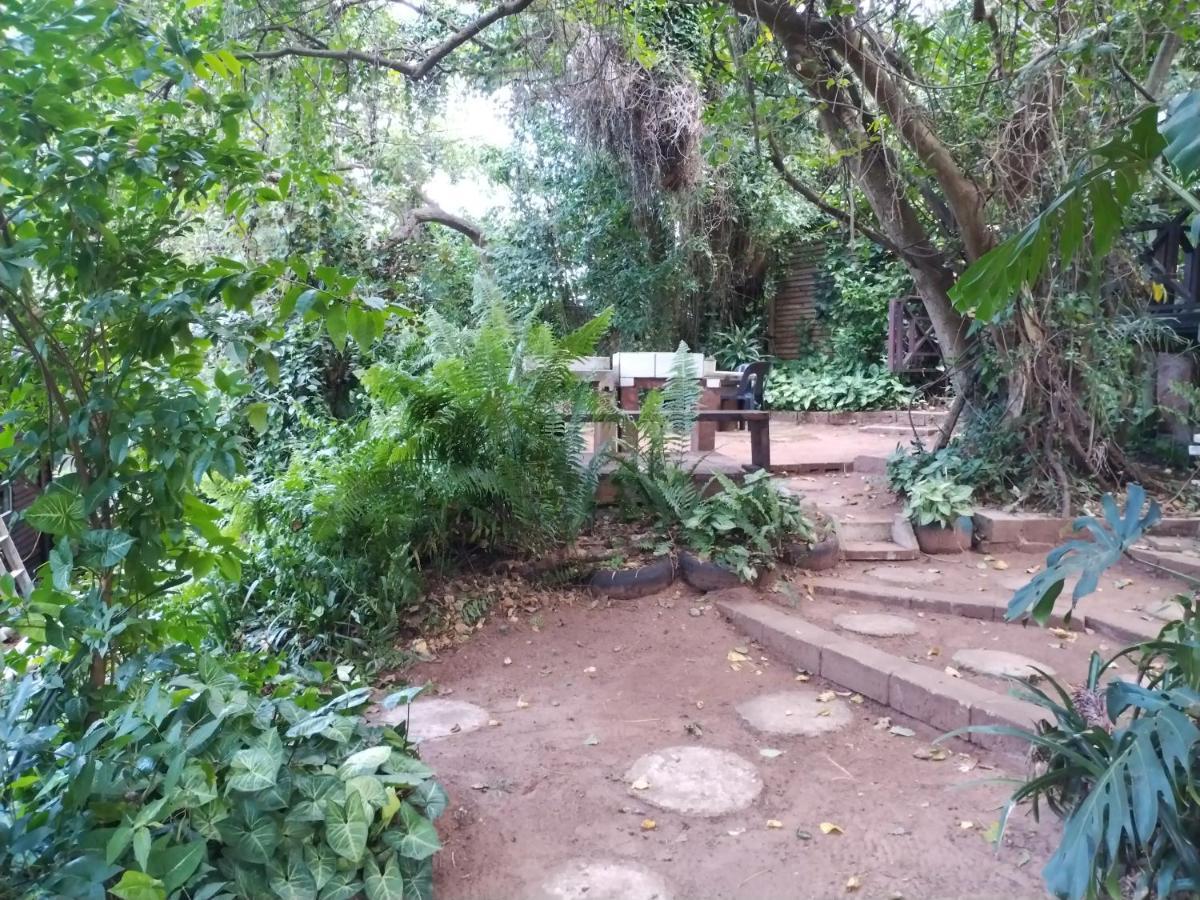 Beach Wood Cottages Shelly Beach Ngoại thất bức ảnh