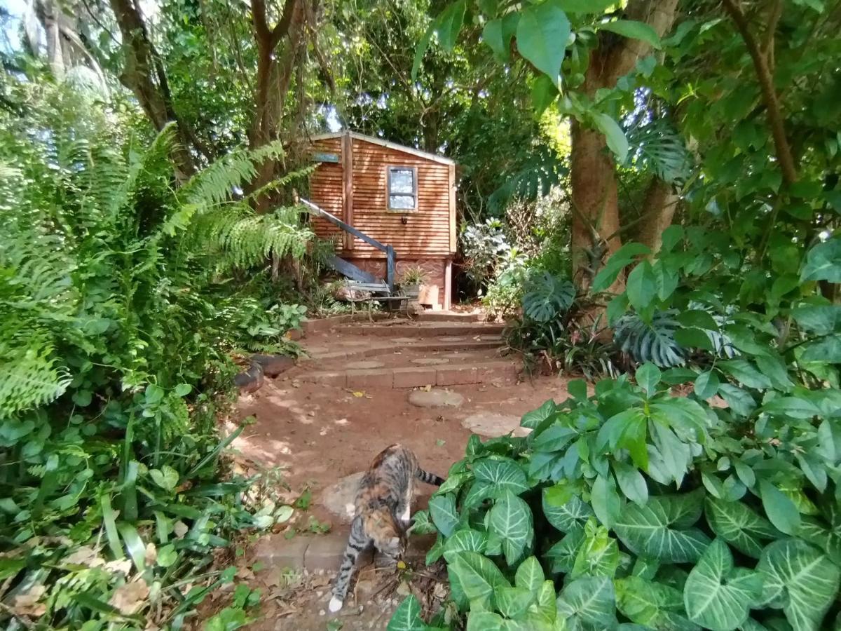 Beach Wood Cottages Shelly Beach Ngoại thất bức ảnh