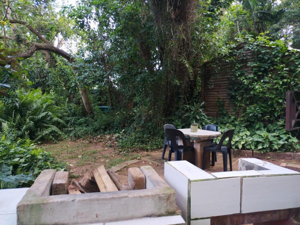 Beach Wood Cottages Shelly Beach Ngoại thất bức ảnh