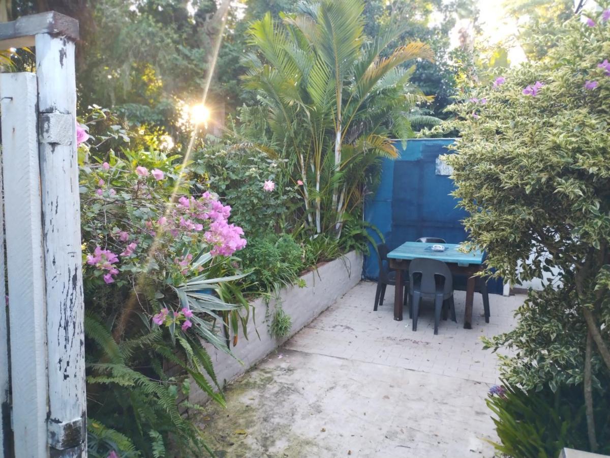 Beach Wood Cottages Shelly Beach Ngoại thất bức ảnh