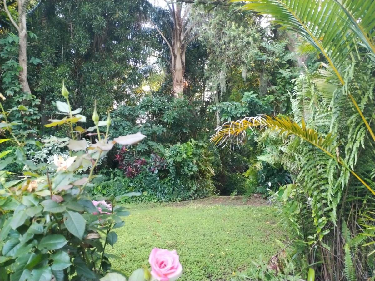 Beach Wood Cottages Shelly Beach Ngoại thất bức ảnh