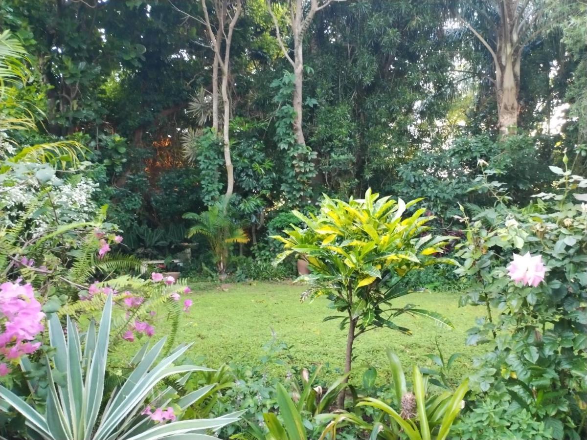 Beach Wood Cottages Shelly Beach Ngoại thất bức ảnh