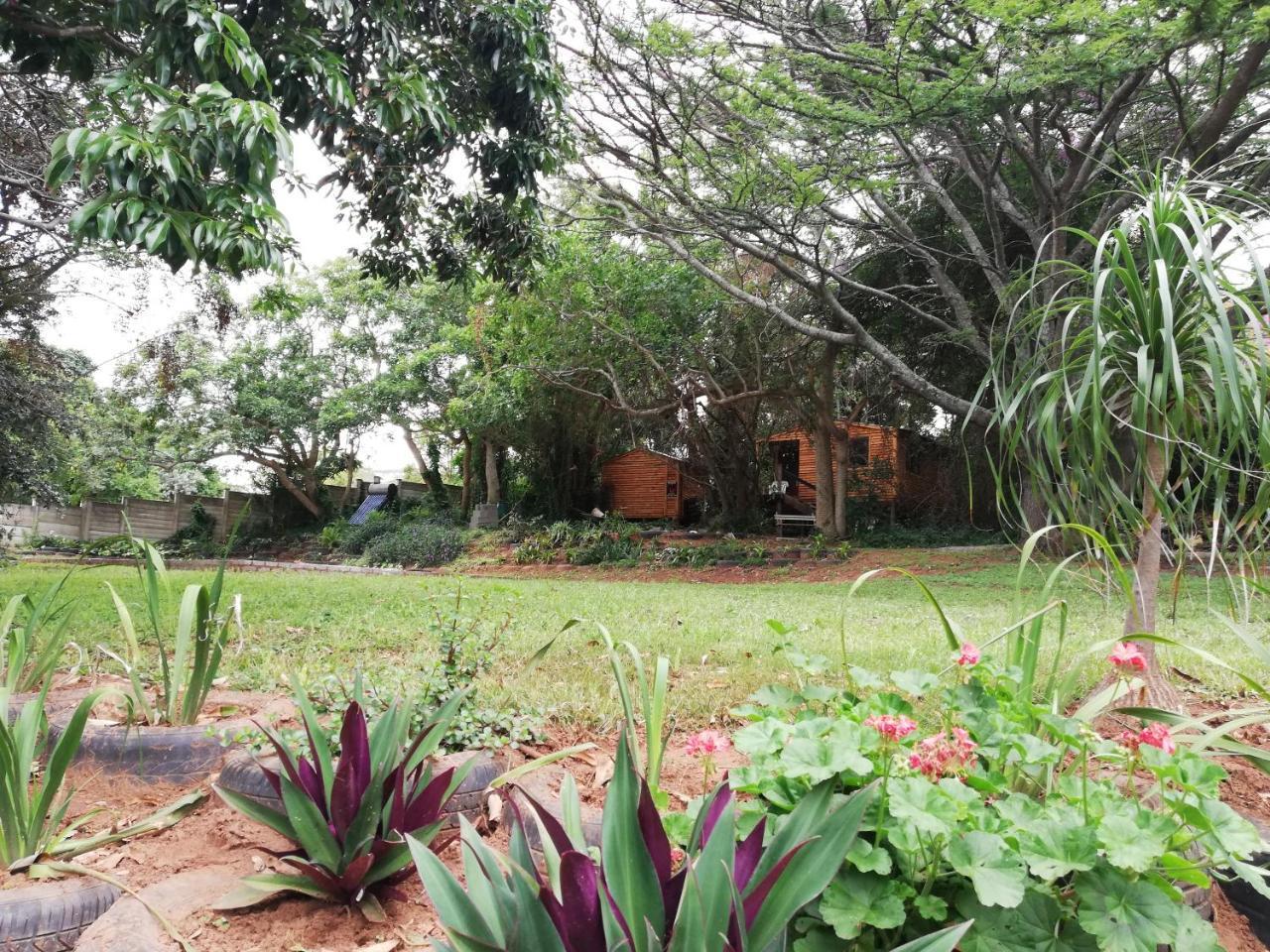 Beach Wood Cottages Shelly Beach Ngoại thất bức ảnh