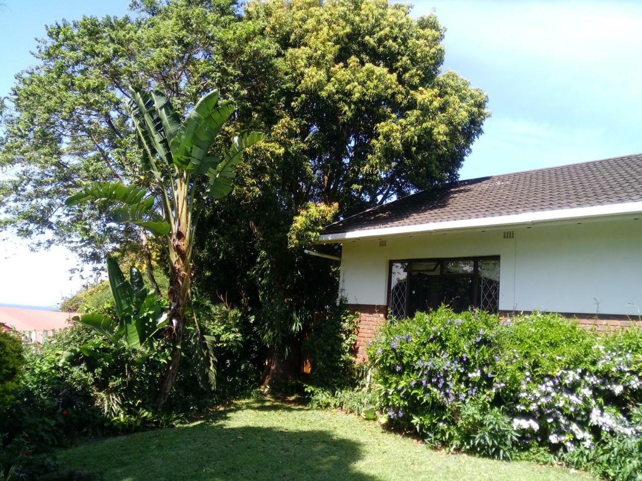 Beach Wood Cottages Shelly Beach Ngoại thất bức ảnh
