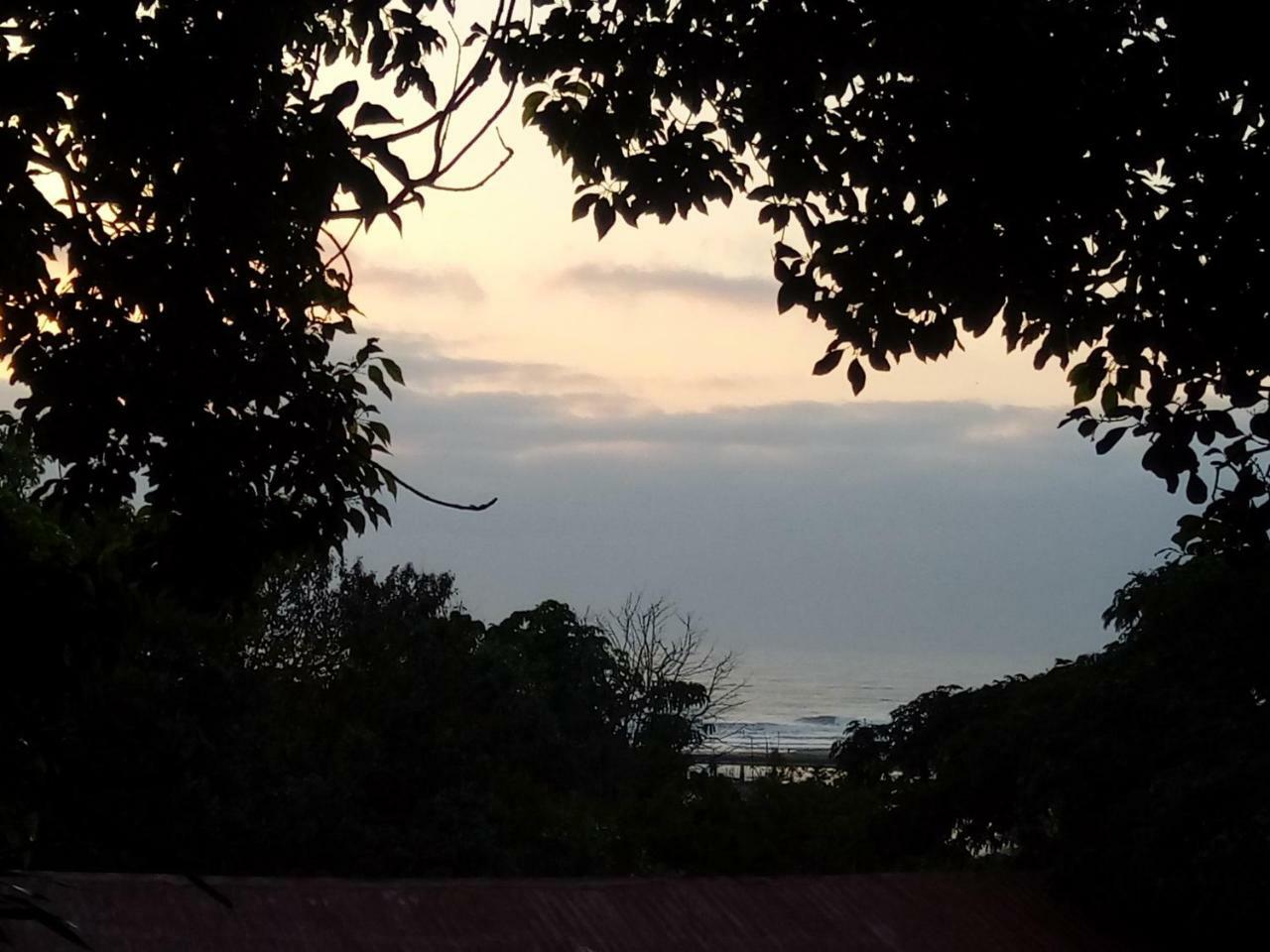 Beach Wood Cottages Shelly Beach Ngoại thất bức ảnh