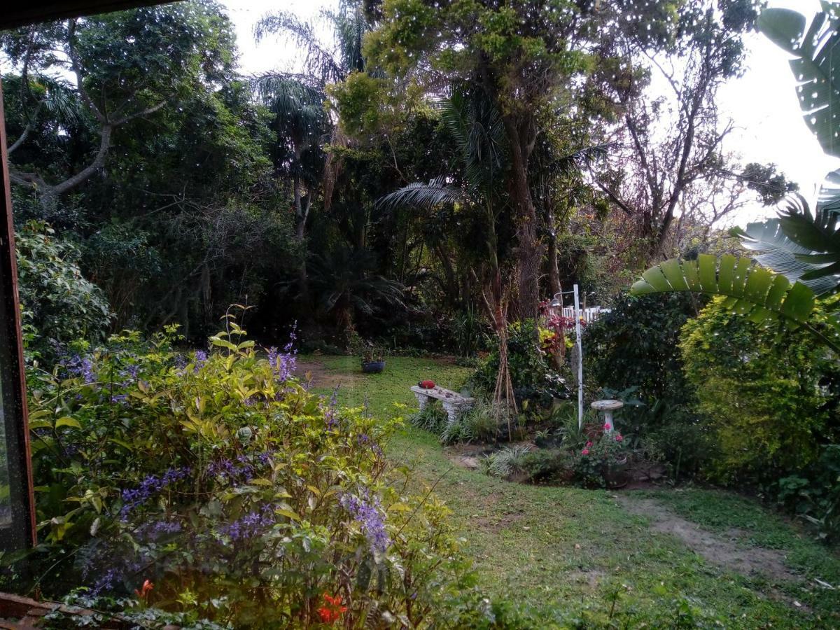 Beach Wood Cottages Shelly Beach Ngoại thất bức ảnh