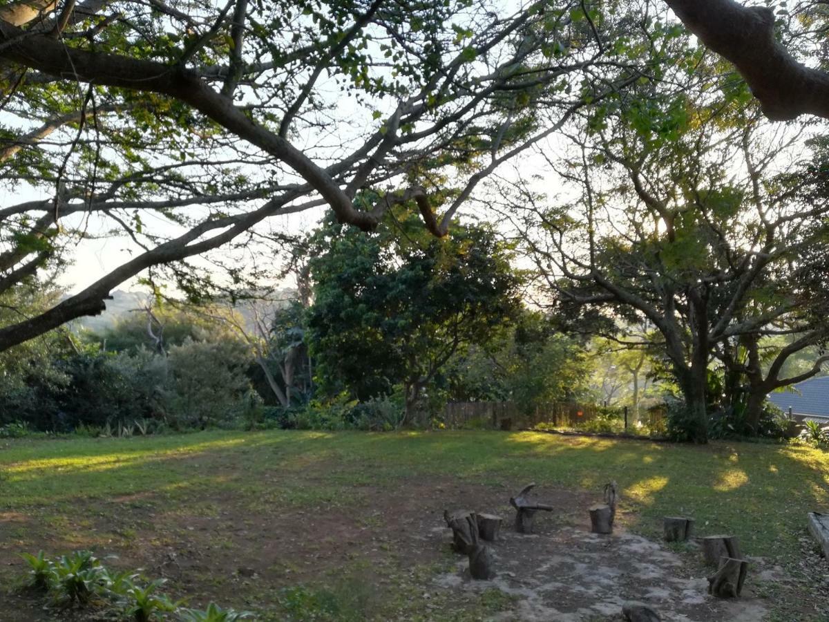 Beach Wood Cottages Shelly Beach Ngoại thất bức ảnh