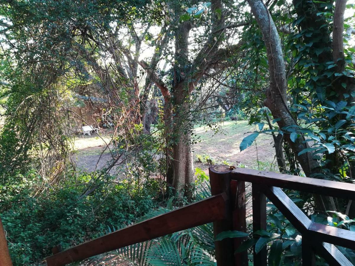 Beach Wood Cottages Shelly Beach Ngoại thất bức ảnh