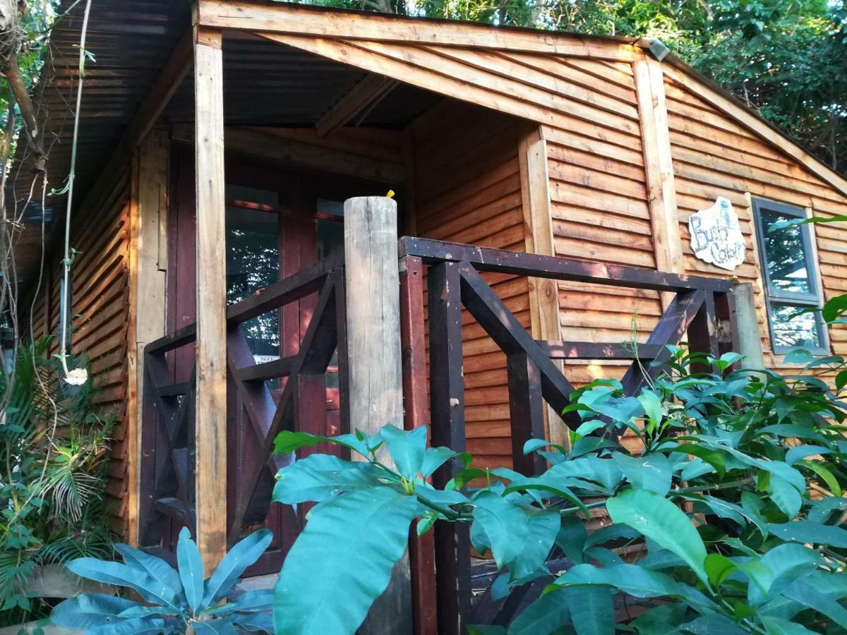 Beach Wood Cottages Shelly Beach Ngoại thất bức ảnh